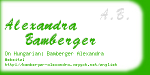 alexandra bamberger business card